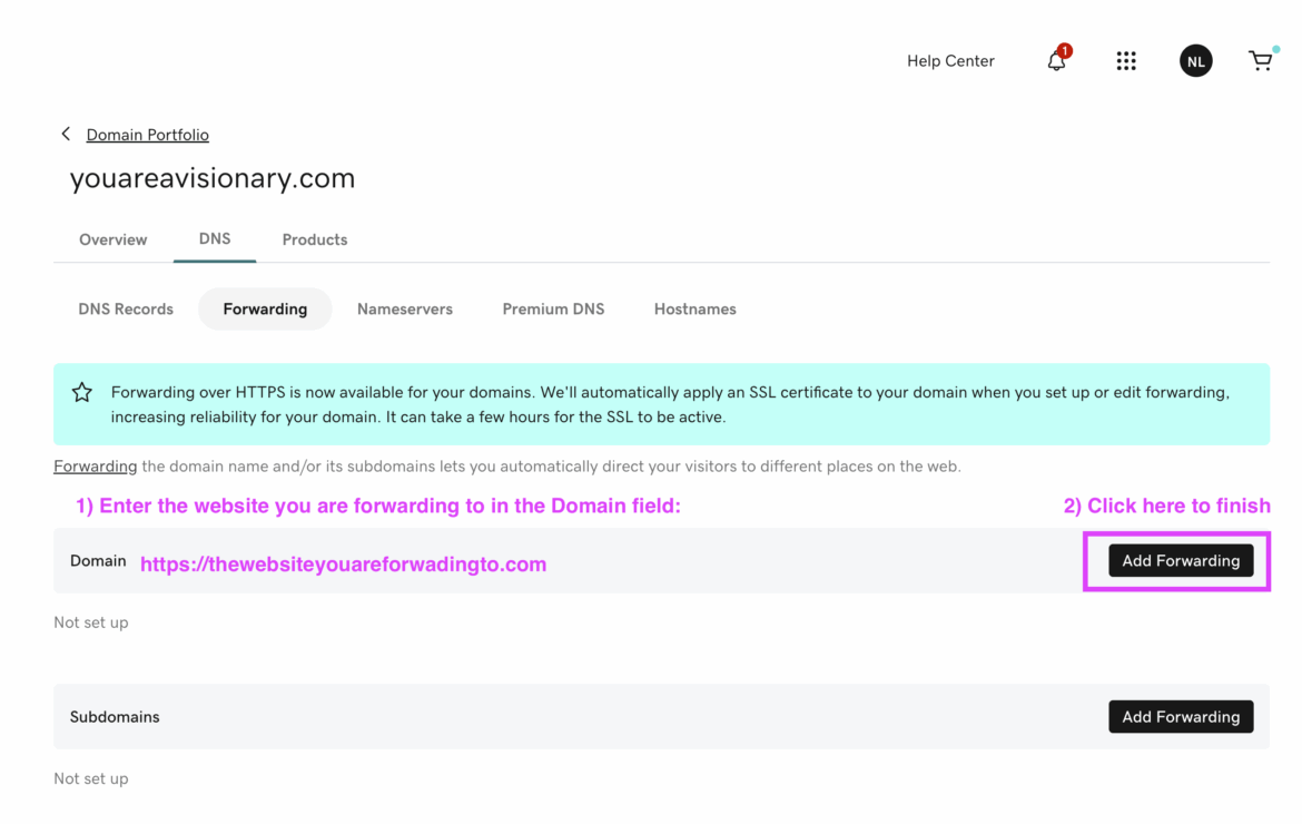 screen cap of domain forwarding in GoDaddy